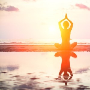 Dr Oz & Karl Romain Tai Chi Moves: Repulse The Monkey & Yin Yang