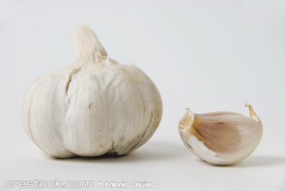 Close-up of garlic bulb on white background, s...